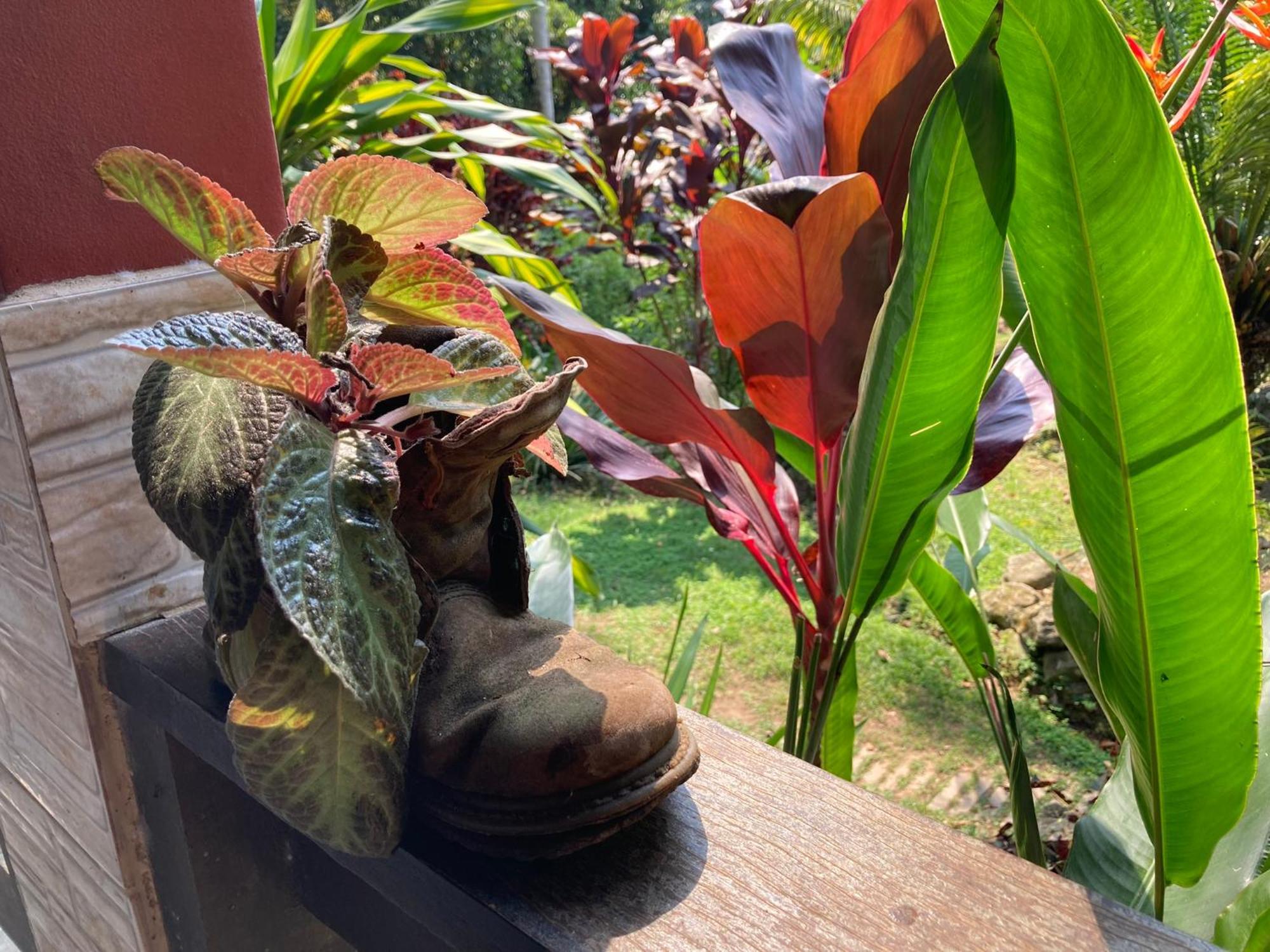 Casa Arariba - Ilha Grande - Vila Do Abraao ภายนอก รูปภาพ