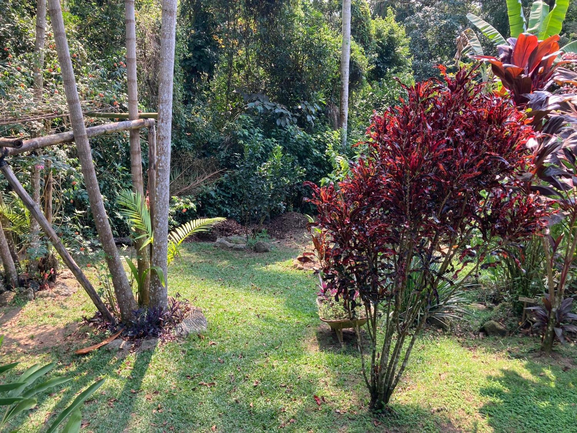 Casa Arariba - Ilha Grande - Vila Do Abraao ภายนอก รูปภาพ